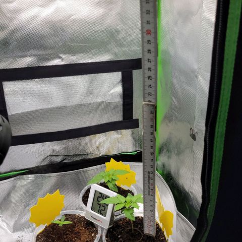 Special 1 # growlog timeline photo