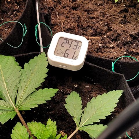 Special 1 # growlog timeline photo