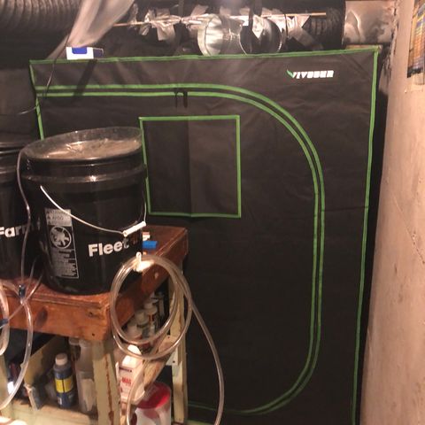 Blue Dream Auto growlog photo: Just showing how the room is currently setup. Can’t wait for this grow to be over and make big big changes to this. I fucked up mostly on space management and not thinking ahead far enough. I have learned a lot already and am excited to get this all clean ,neat and organized 