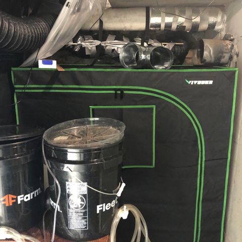 Blue Dream Auto growlog photo: Just showing how the room is currently setup. Can’t wait for this grow to be over and make big big changes to this. I fucked up mostly on space management and not thinking ahead far enough. I have learned a lot already and am excited to get this all clean ,neat and organized 