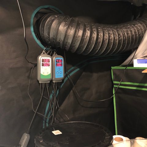 Blue Dream Auto growlog photo: Just showing how the room is currently setup. Can’t wait for this grow to be over and make big big changes to this. I fucked up mostly on space management and not thinking ahead far enough. I have learned a lot already and am excited to get this all clean ,neat and organized 