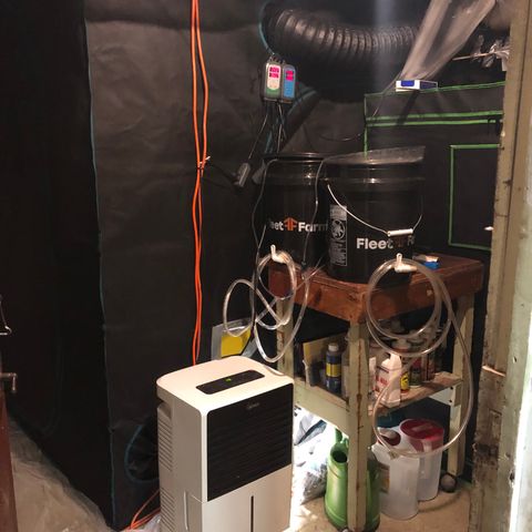 Blue Dream Auto growlog photo: Just showing how the room is currently setup. Can’t wait for this grow to be over and make big big changes to this. I fucked up mostly on space management and not thinking ahead far enough. I have learned a lot already and am excited to get this all clean ,neat and organized 