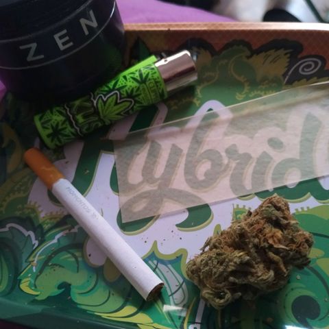 Northern Lights growlog photo: Mmmmmmm