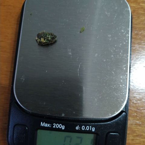 Kritikal Bilbo growlog timeline photo