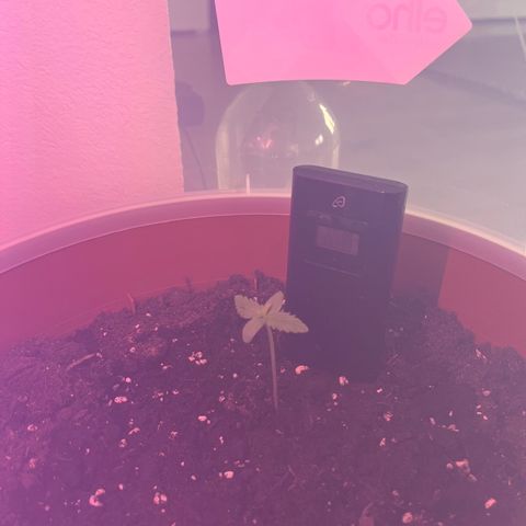 Autopilot XXL growlog timeline photo