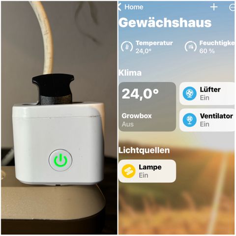 Gertrud growlog photo: Meine Growbox wird fast komplett mit Apple HomeKit gesteuert. 
Dank dem Tado Heizkörperthermostat wird je nach Temperatur und Luftfeuchtigkeit, der Lüfter, bzw. ab morgen auch der Luftbefeuchter ein, bzw. aus geschaltet. 

Smarte Steckdosen lassen sich prima als Zeitschaltuhr nutzen, können aber auch manuell von überall aus geschaltet werden. 

Zusätzlich werden alle diese Daten, inkl. Stromverbrauch der einzelnen Geräte, digital auf dem Smartphone gespeichert und können jederzeit rückwirkend betrachtet und ausgewertet werden. 

Kann jeder selbst entscheiden, aber ich bin total begeistert 🥳