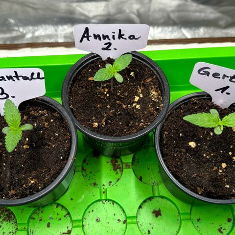 Gertrud growlog photo: 09:45 Uhr 
Ohne Worte, einfach nur genießen 😊
