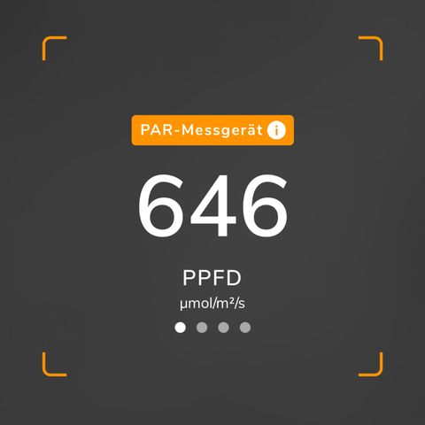 Gertrud growlog photo: 22:30 Uhr 
Für das derzeitige Studium ist der PPFD ok - jedenfalls wenn man der App vertrauen kann. 🤷🏻‍♂️
 Hab einen Streifen Papier als Defusor genutzt, wie in der App beschrieben. 
