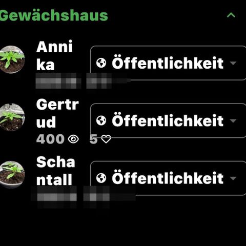 Gertrud growlog photo: Vielen Dank für 400 Aufrufe! 