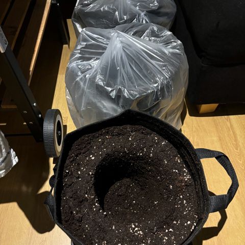 Gertrud growlog photo: 22:30 Uhr
Living Soil Substrat vorbereitet. 19l Töpfe! Muss noch ein wenig ruhen und dann wird umgetopft. 