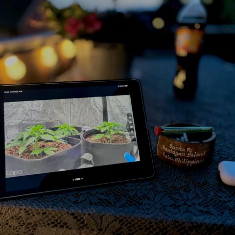 Gertrud growlog photo: 22:22 Uhr 