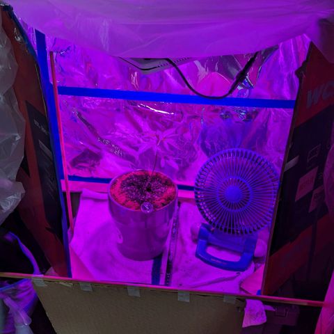 Natbug growlog photo: New environment door