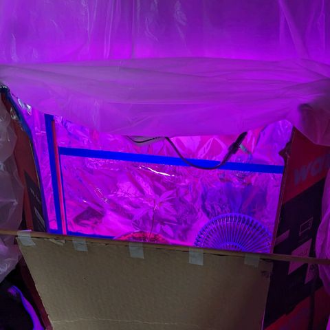 Natbug growlog photo: New environment door