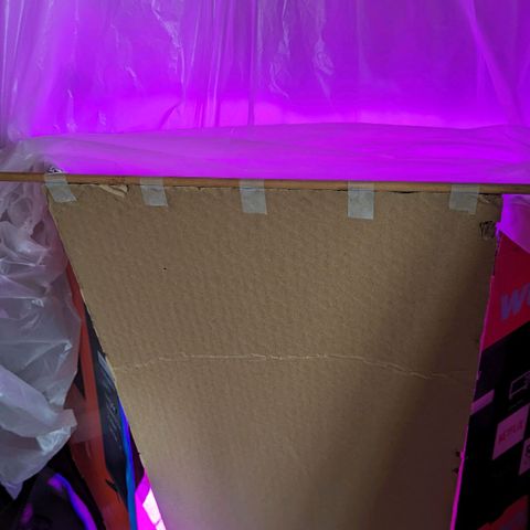 Natbug growlog photo: New environment door