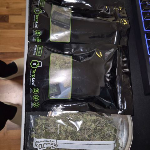 Fullgas!                             (Strain Hunters) growlog photo: 120g trocken, 30g Verschnitt