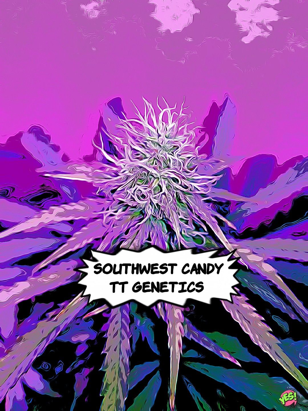 Southwest Candy  growlog header