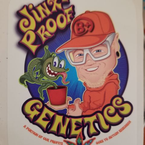 JINX G TEST GROW 2020  growlog photo