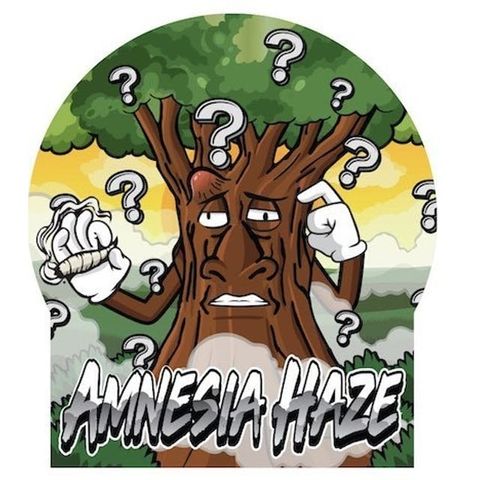 Amnesia Haze Auto  growlog timeline photo