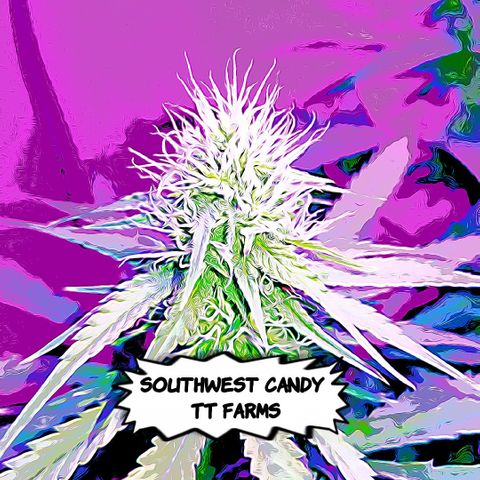 Southwest Candy  growlog timeline photo