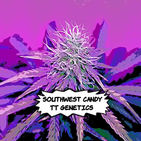 Southwest Candy  growlog timeline photo