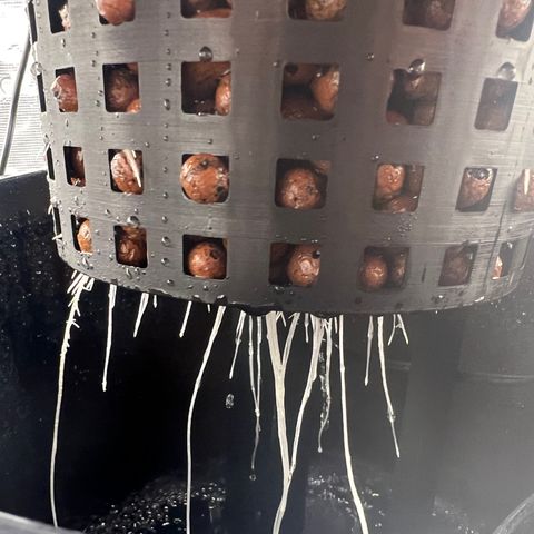 Death Bubba (Clone Grow) growlog timeline photo
