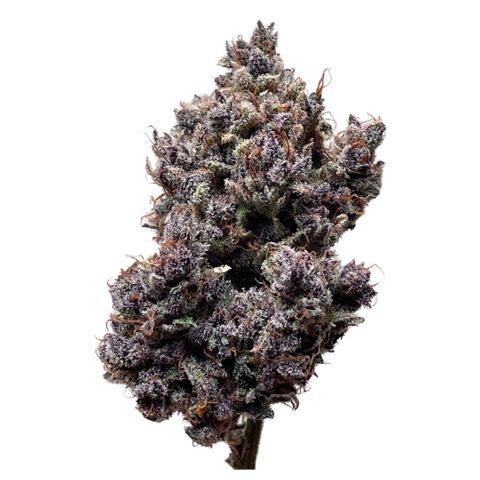 Blackberry - #1 - 42 Fast Buds growlog timeline photo