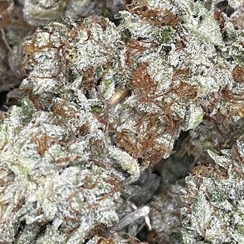 2021.05.17 OG Kush - #2 - RQS growlog timeline photo