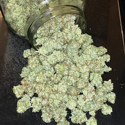 2021.05.17 OG Kush - #2 - RQS growlog timeline photo