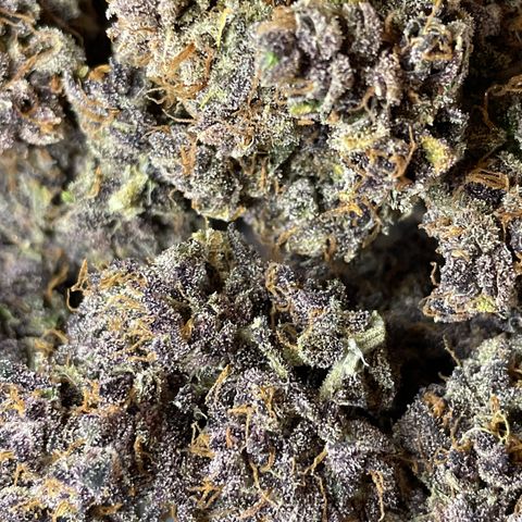 2021.06.02 - Purple Lemonade 🍋 - #1 - 42 Fast Buds growlog timeline photo