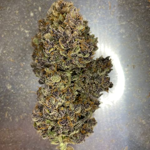 2021.06.02 - Purple Lemonade 🍋 - #1 - 42 Fast Buds growlog timeline photo