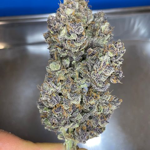 2021.06.02 - Purple Lemonade 🍋 - #1 - 42 Fast Buds growlog timeline photo