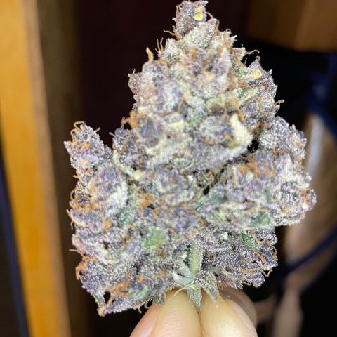 2021.06.02 - Purple Lemonade 🍋 - #1 - 42 Fast Buds growlog timeline photo