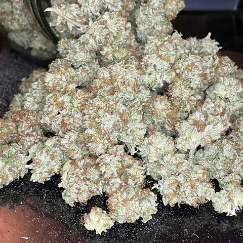 2021.05.17 OG Kush - #2 - RQS growlog timeline photo