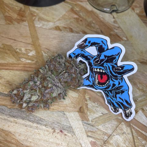 2021.05.17 Purple Queen - #2 - RQS growlog timeline photo