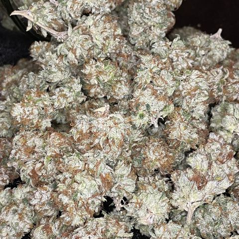 2021.05.17 OG Kush - #2 - RQS growlog timeline photo