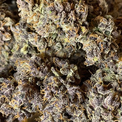 2021.06.02 - Purple Lemonade 🍋 - #1 - 42 Fast Buds growlog timeline photo