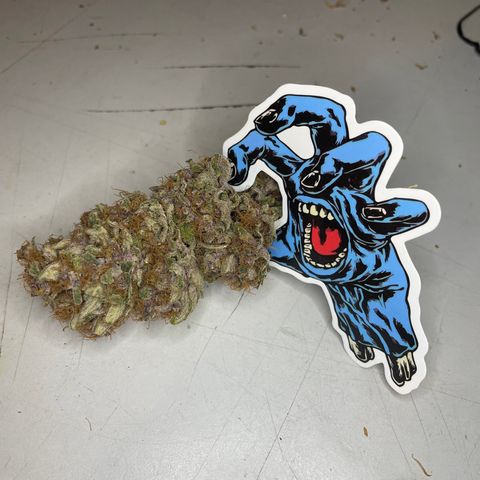 2021.05.17 Purple Queen - #2 - RQS growlog timeline photo