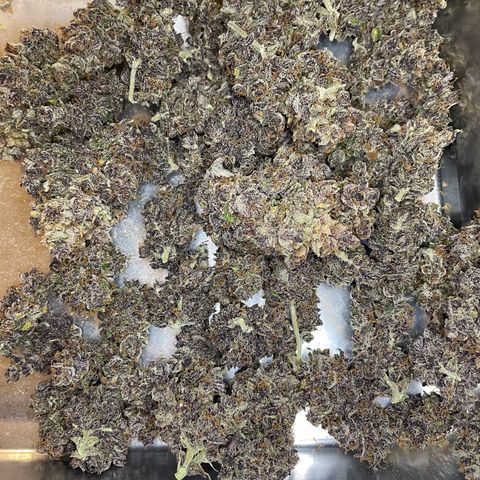 2021.06.02 - Purple Lemonade 🍋 - #1 - 42 Fast Buds growlog timeline photo