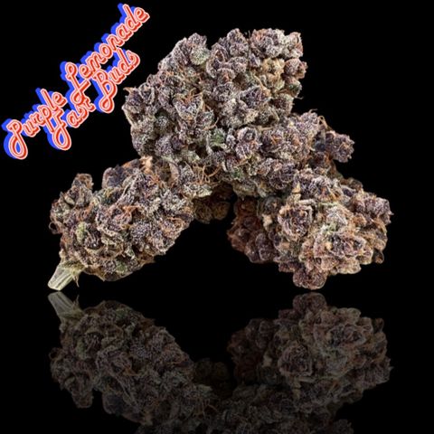 2021.06.02 - Purple Lemonade 🍋 - #1 - 42 Fast Buds growlog timeline photo