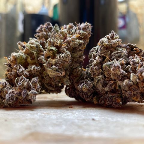 Blackberry - #1 - 42 Fast Buds growlog timeline photo