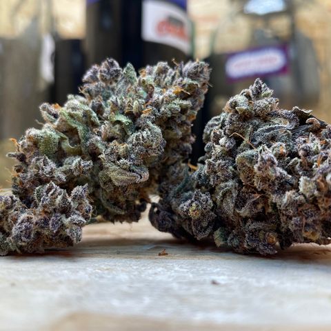 Blackberry - #1 - 42 Fast Buds growlog timeline photo