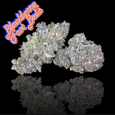 Blackberry - #1 - 42 Fast Buds growlog timeline photo