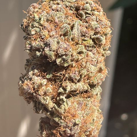 2021.05.17 Purple Queen - #2 - RQS growlog timeline photo