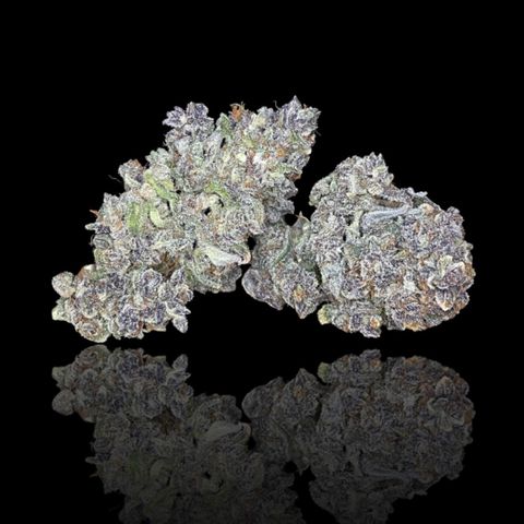 Blackberry - #1 - 42 Fast Buds growlog timeline photo