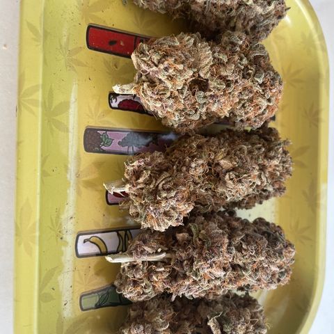 2021.05.17 Purple Queen - #2 - RQS growlog timeline photo