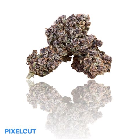 2021.06.02 - Purple Lemonade 🍋 - #1 - 42 Fast Buds growlog timeline photo