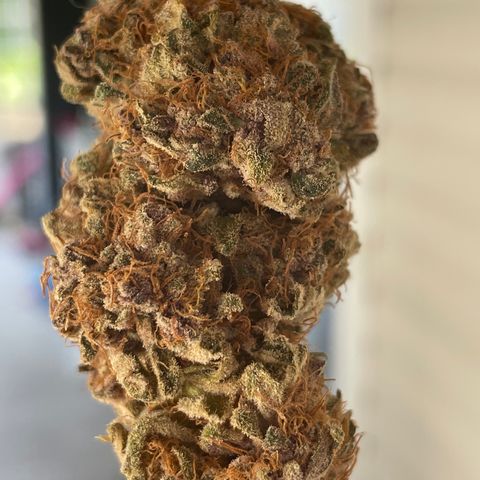 2021.05.17 Purple Queen - #2 - RQS growlog timeline photo