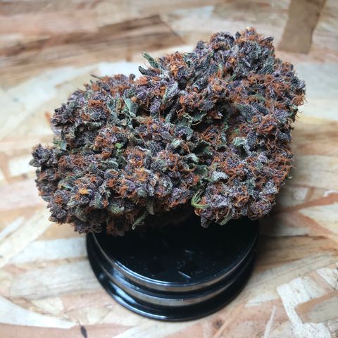 Purple Punch 🥊 4 - #1 - 42 Fast Buds growlog timeline photo