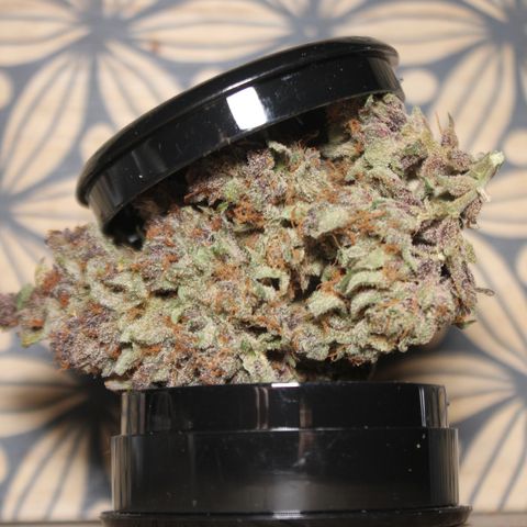 Purple Punch 🥊 4 - #1 - 42 Fast Buds growlog timeline photo