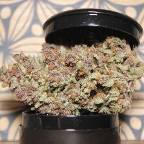 Purple Punch 🥊 4 - #1 - 42 Fast Buds growlog timeline photo